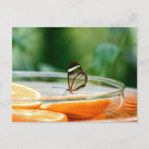 Standard-Postkarte Postkarte