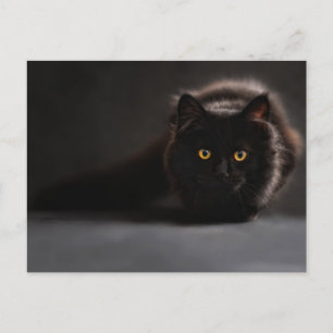 Standard-Postkarte Postkarte