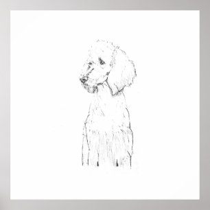 Standard Pudel-Hunde-Illustration Poster