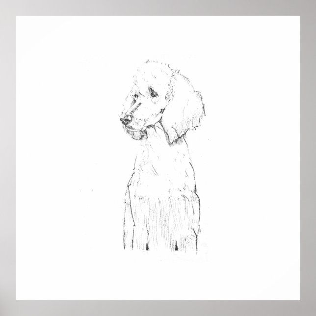 Standard Pudel-Hunde-Illustration  Poster (Vorne)