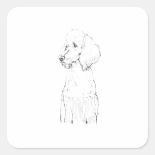 Standard Pudel-Hunde-Illustration Quadratischer Aufkleber