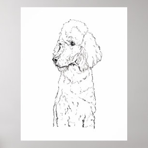 Standard Pudel-Hunde-Illustration - Tinten-Kunst Poster