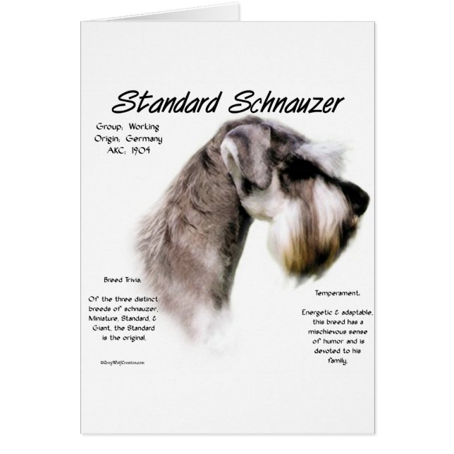 Standard Schnauzer History Design (Vorne)