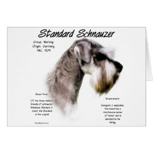 Standard Schnauzer History Design
