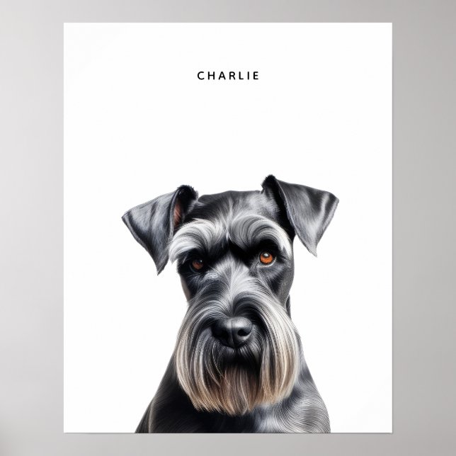 Standard Schnauzer Personalisiert Print Poster (Vorne)