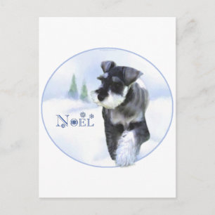 Standard Schnauzer Weihnachten
