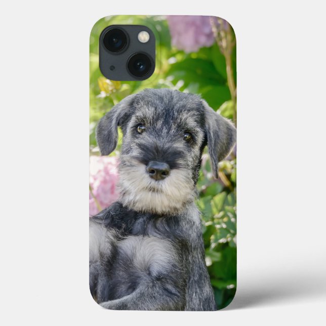 Standard Schnauzer Welpe im blühenden Garten -  Case-Mate iPhone Hülle (Rückseite)