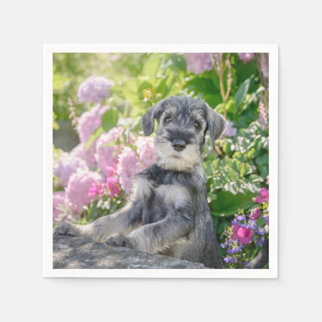 Standard Schnauzer Welpe im blühenden Garten - Serviette (Vorderseite)