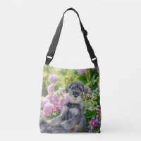 Standard Schnauzer Welpe im blühenden Garten -