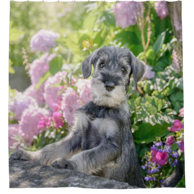 Standard Schnauzer Welpe in einem blühenden Garten Duschvorhang (Vorderseite)