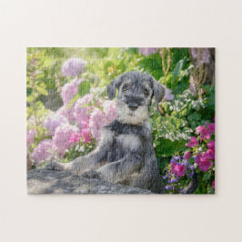 Standard Schnauzer Welpe in einem blühenden Garten Puzzle