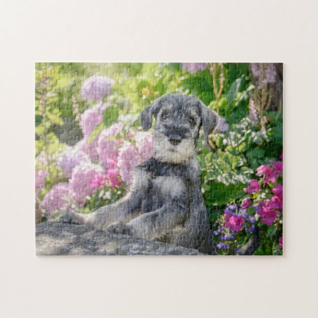Standard Schnauzer Welpe in einem blühenden Garten Puzzle (Horizontal)