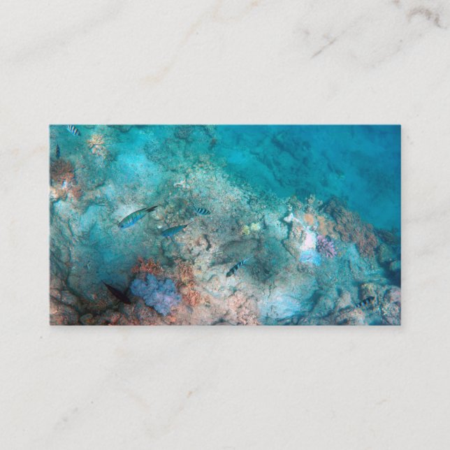 Standard-Visitenkarte 3,5 Zoll x 2,0 Zoll Visitenkarte (Vorderseite)