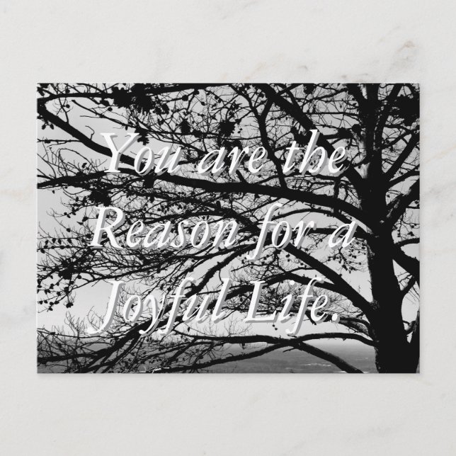 Standardart Schwarz-Weiß-Postkarte Postkarte (Vorderseite)