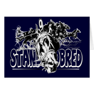Standardbred Laufen