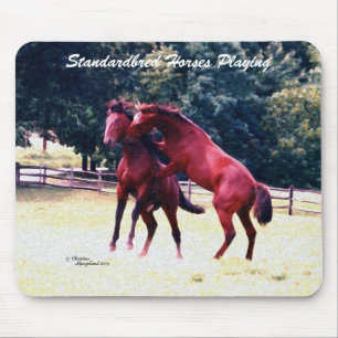Standardbred Pferde, die Mousepad spielen