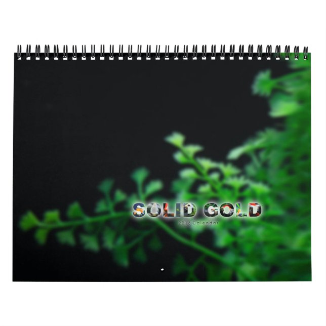 Standardgröße GEDIEGENES GOLD Goldfisch-Kalender Kalender (Titelbild)