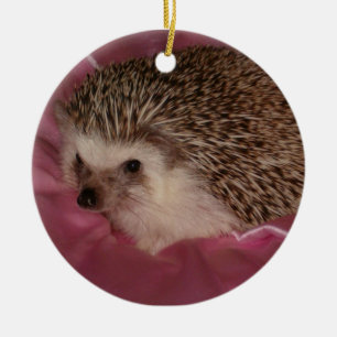 StandardIgelsverzierung Keramik Ornament