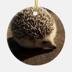 StandardIgelsverzierung Keramikornament