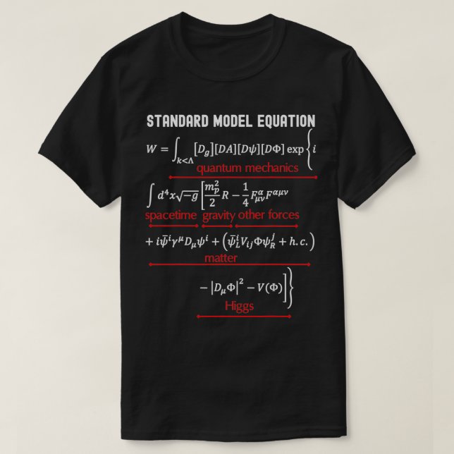 Standardmodell Gleichung Physik Math Science Teach T-Shirt (Design vorne)