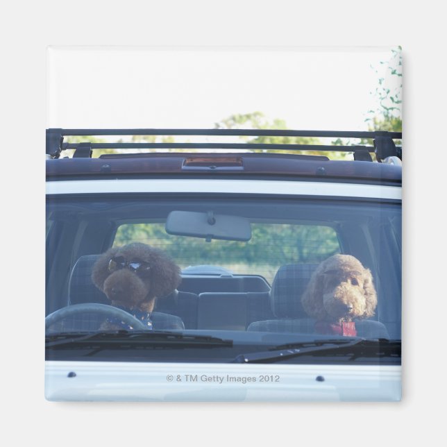 Standardpoodle 4 magnet (Vorne)