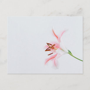 Standardpostkarte Postkarte