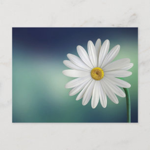 Standardpostkarte Postkarte