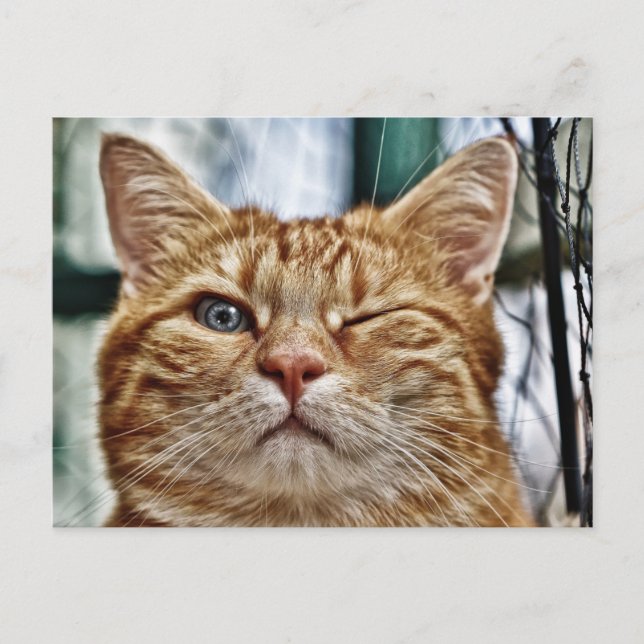 Standardpostkarte Postkarte (Vorderseite)