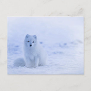 Standardpostkarte Postkarte