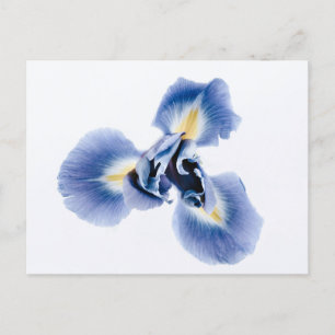 Standardpostkarte Postkarte