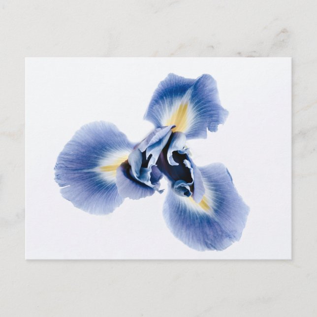 Standardpostkarte Postkarte (Vorderseite)