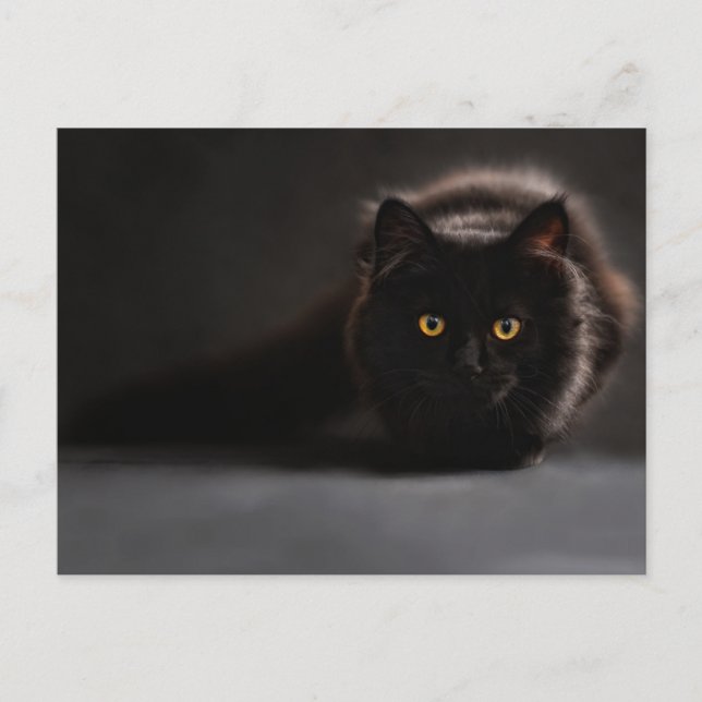 Standardpostkarte Postkarte (Vorderseite)