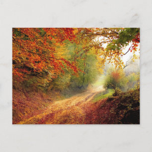 Standardpostkarte Postkarte