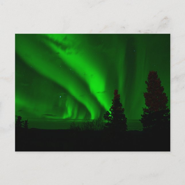 Standardpostkarte Postkarte (Vorderseite)