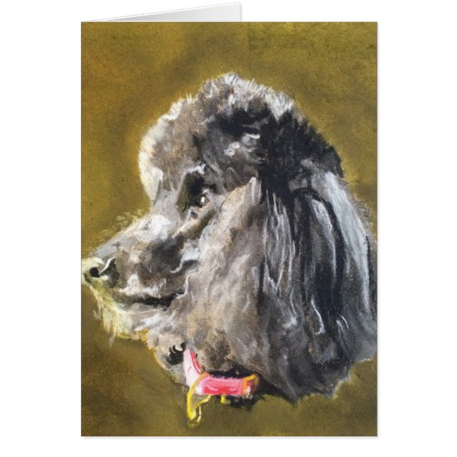 Standardpudel (Vorne)