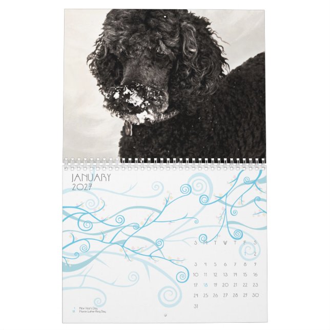 Standardpudel 2010 kalender (Jan 2027)