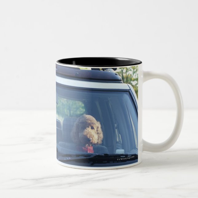 Standardpudel 4 zweifarbige tasse (Rechts)