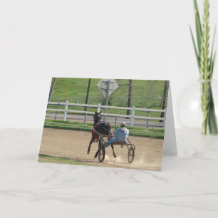 Standardreitpferd Karte