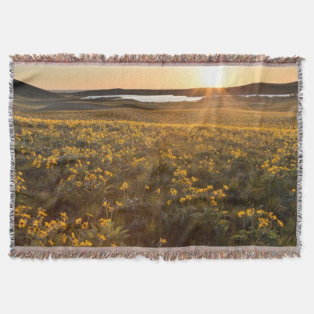 Ständer von Balsamroot-Wildblumen Decke (Vorderseite)