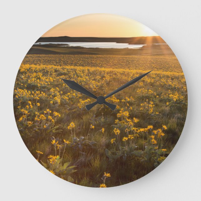 Ständer von Balsamroot-Wildblumen Große Wanduhr (Vorderseite)