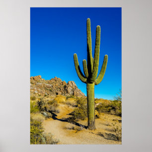 Standing Cactus Poster