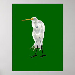 Standing Egret Poster