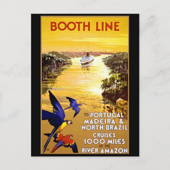 Standleitung nach Portugal Madeira Postkarte (Vorderseite)