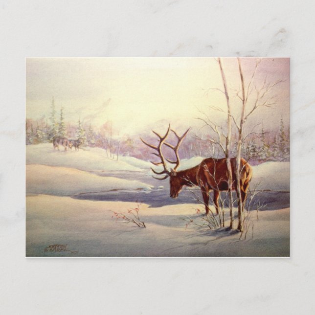 STANDOFF VON SHARON SHARPE POSTKARTE (Vorderseite)