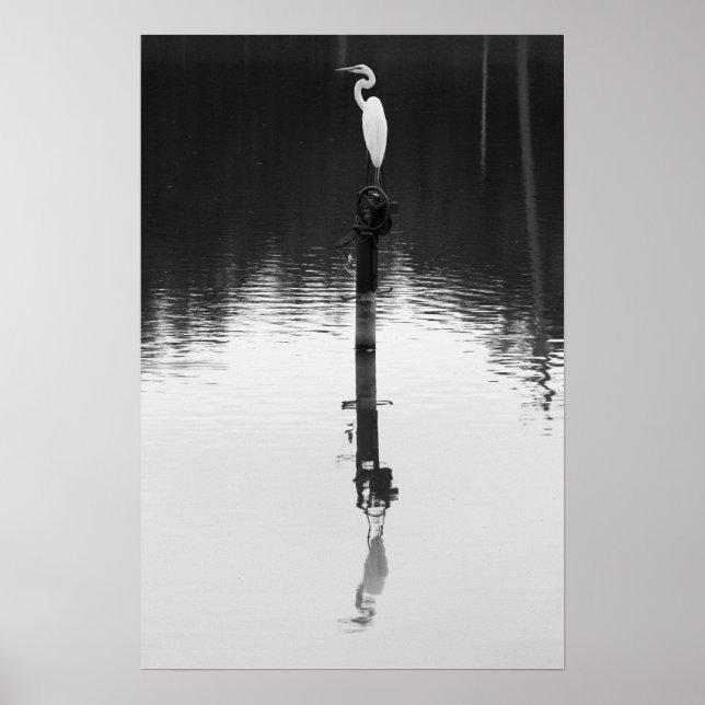 Standreflektion Poster (Vorne)