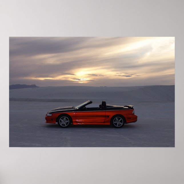 Stang-Konvertible 1995 Poster (Vorne)