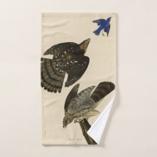 Stanley (Cooper's) Hawk Audubons Vögel von Amerika Badhandtuch Set