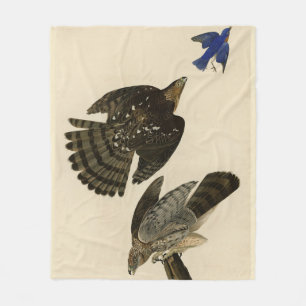 Stanley (Cooper's) Hawk Audubons Vögel von Amerika Fleecedecke