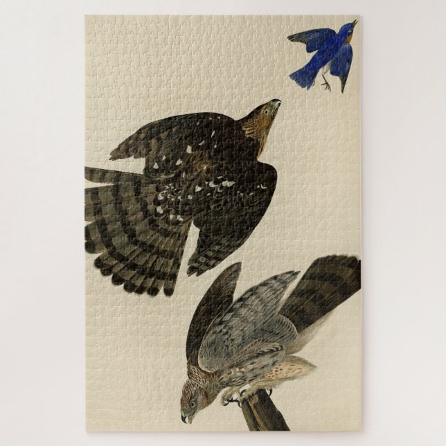 Stanley (Cooper's) Hawk Audubons Vögel von Amerika Puzzle (Vertikal)
