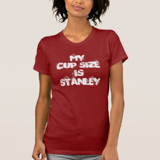 Stanley Cup Hockeyschlüsse Chicago 2013 T-Shirt